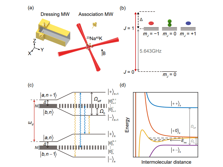 Microwave Dressing Creates Tetratomic 23Na40K Molecules, Advancing Ultracold Polyatomic Physics