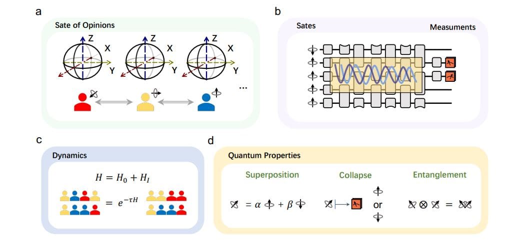 Quantum Simulations of Opinion Dynamics Demonstrate Enhanced Understanding of Consensus and Collective Decision-Making
