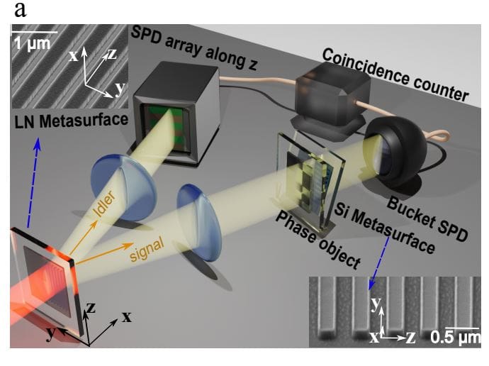 Quantum Phase Gradient Imaging Achieves Precise Measurements Using a Nonlocal Metasurface System