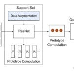Balanced Few-Shot Learning Accurately Diagnoses Retinal Disease with Limited Data, Addressing Imbalance in 1,000 Test Images