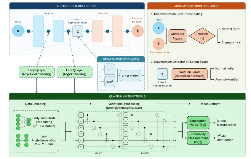 Hybrid Quantum-Classical Autoencoders Match Classical Performance in Network Intrusion Detection, Enabling Stronger Zero-Day Generalization