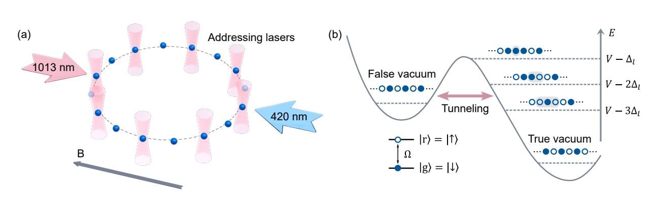Rydberg Atom Array Probes False Vacuum Decay and Bubble Nucleation Mirroring Quantum Field Theory Predictions