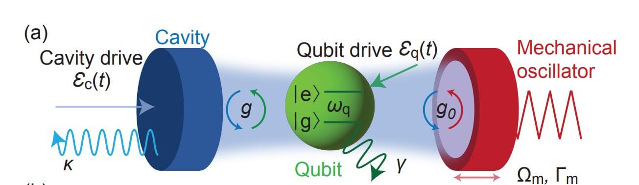 Strongly Driven Cavity Quantum Electrodynamical-optomechanical Hybrid System Generates non-Gaussian States for Mechanical Oscillators