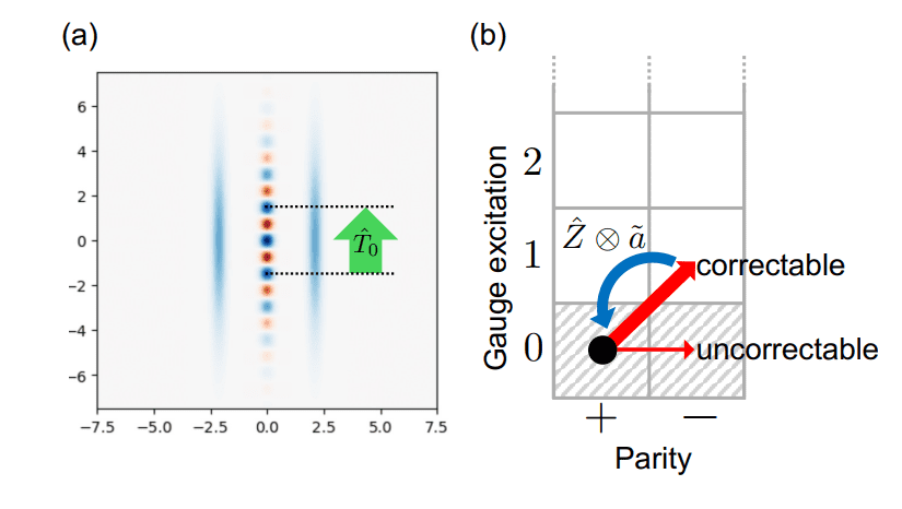 Squeezed Cat Qubits Exploit Translational Symmetry for Robust Quantum Error Correction and Logical Operations