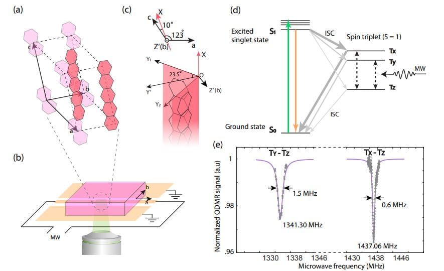 Pentacene Enables Robust AC Vector Sensing at Zero Magnetic Field with Room Temperature Operation