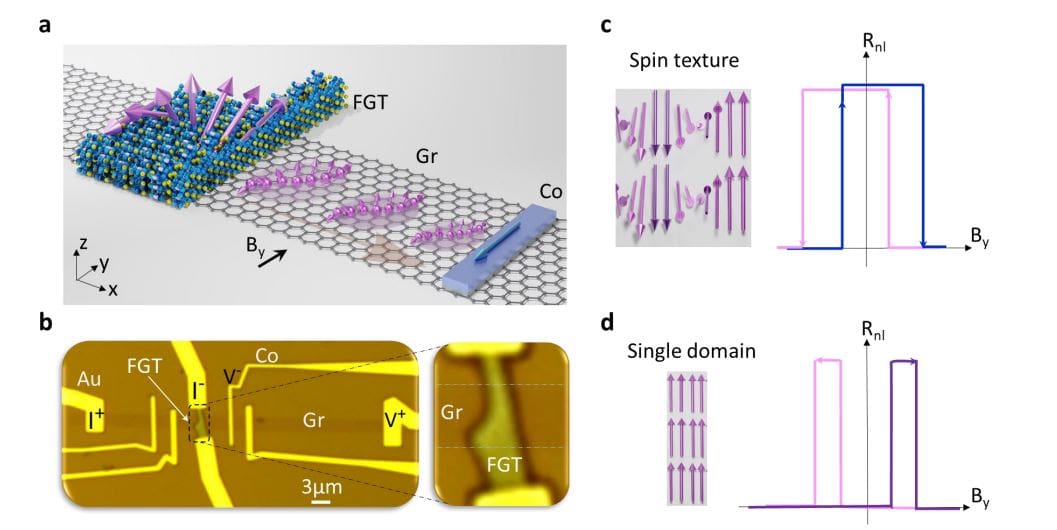 Spin-texture Spin-valve Detects Sub-100nm Van Der Waals Magnetism Via Pure Spin Transport