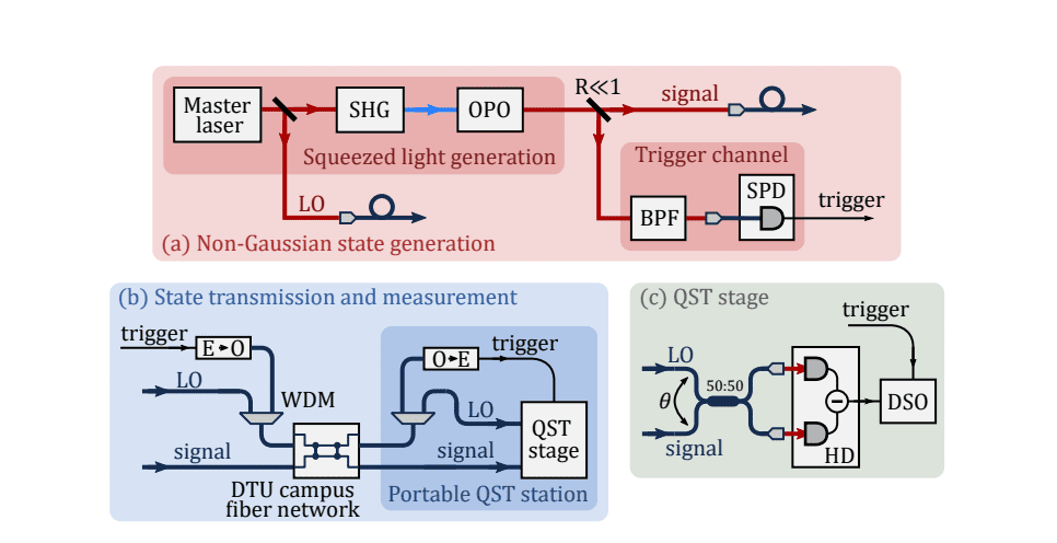 Deployed Fiber Channel Transmits Non-Gaussian States over 300m, Enabling Advanced Optical Information Processing