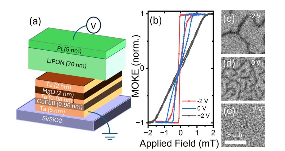 Lithium-based Magneto-Ionic Device Performs Reservoir Computing, Forecasting Chaotic Time Series In-Materio