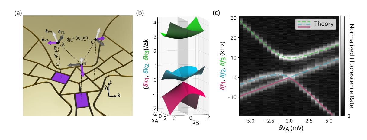 Ion Microtrap Array Demonstrates Single Phonon Topological Berry Phase Sharing Between Two or Three Ions