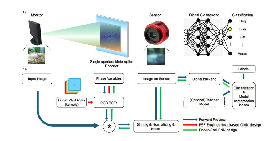 Metalenses for Generalizable Computer Vision Achieve Comparable Accuracy across Sensor Pixel Sizes
