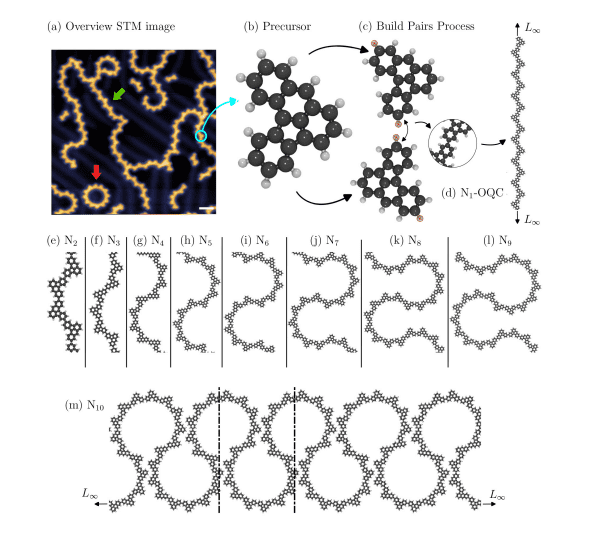 Organic Quantum Chains Demonstrate Robust Energy Gaps and Emergent Hierarchy in Localized States