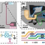 Van Der Waals Transmon Qubits Demonstrate Quantum Coherence and Enable Exploration of New Material Combinations