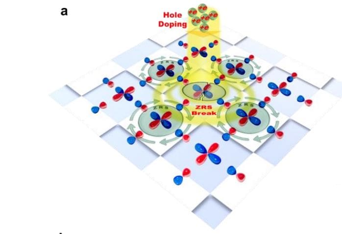 Optical Spectroscopy Tracks Zhang-Rice State Evolution in Overdoped Cuprates from 0.15 to 0.60 Doping