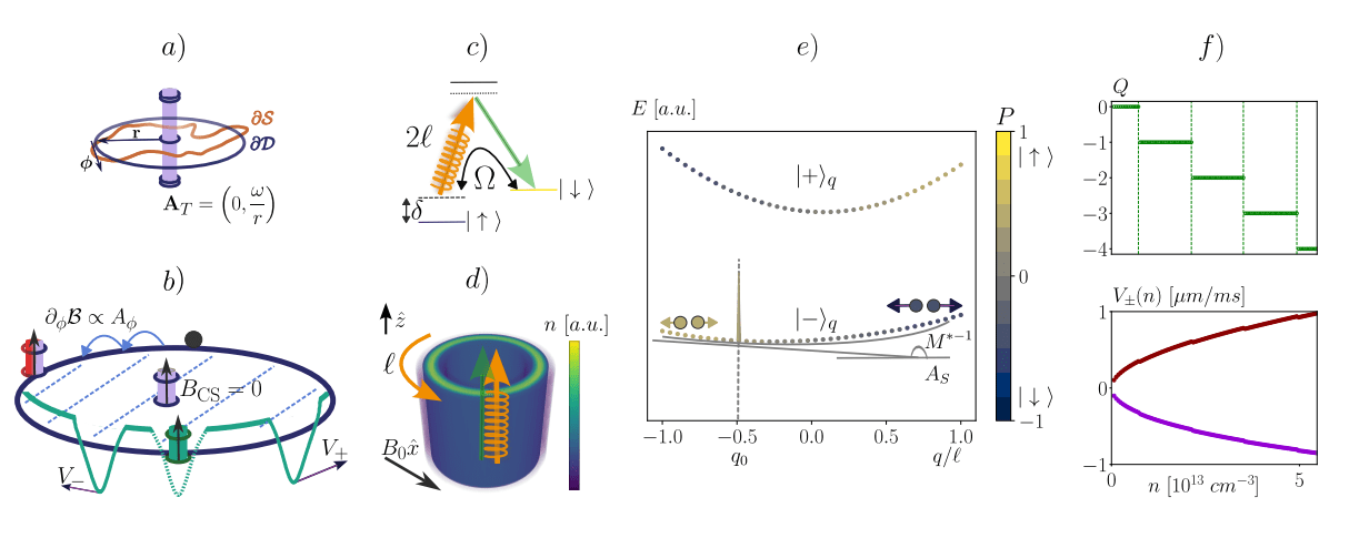 Raman-coupled Bose Gas Encodes Chiral BF Theory on a Ring, Realizing One-dimensional Topological Gauge Theory