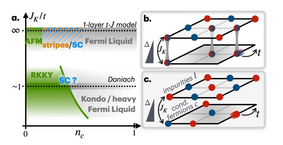 Cold Atoms Connect Single-Layer Models to Kondo Lattice Physics, Revealing RKKY Interactions