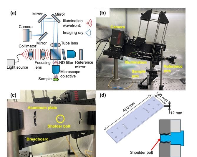 Swept-source Optical Coherence Microscope Achieves 1.4 Μm Resolution and Visualizes Intratissue Activity with 6.5 Μm Axial Resolution