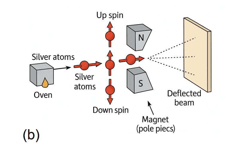 Jumping Along Geodesics Fast-forwards Adiabatic Quantum Computation, Circumventing Energy Gap Constraints Without Extra Hamiltonians