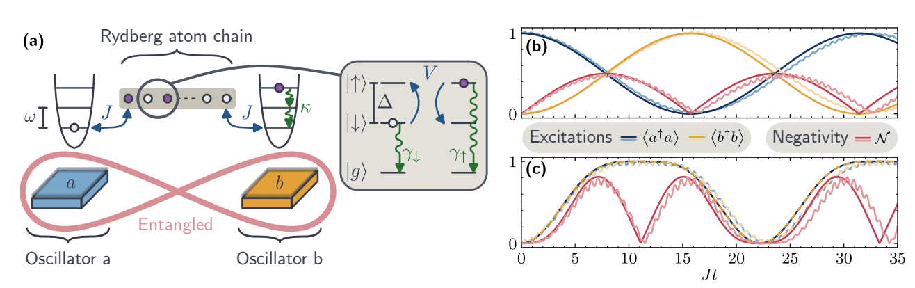 Rydberg Tweezer Chains Entangle Mechanical Oscillators, Demonstrating Tunable Dissipative Correlations for Macroscopic Quantum Systems