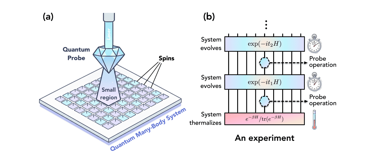 Quantum Probe Tomography Identifies Many-Body Hamiltonians with Local Probes and Algebraic Geometry Tools