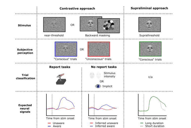 Human Intracranial Research Advances Neural Correlates of Perceptual Consciousness with High Spatiotemporal Resolution