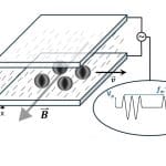 Magnetically Guided Liquid Crystal Torons Achieve Targeted Micro-Cargo Delivery