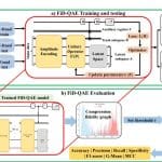 Fidelity-driven Quantum Autoencoder Achieves Robust Fraud Detection for Imbalanced Financial Data