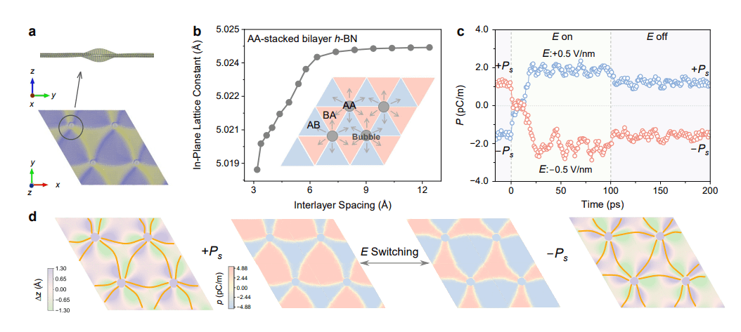 Rippled Moire Superlattices Enable Four-State Ferroelectric Bits Via Strain-Induced Symmetry Breaking
