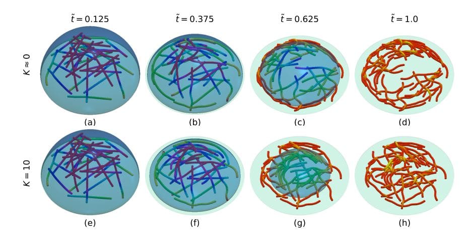 Printed Electronics Advance with Controlled Filament Layers in Drying Droplets