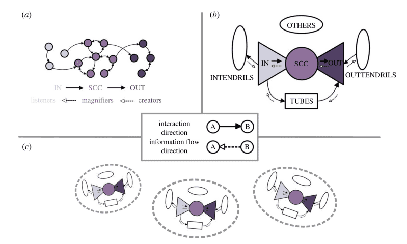 Physics of News, Rumors, and Opinions Reveals Complex Dynamics in Social Networks