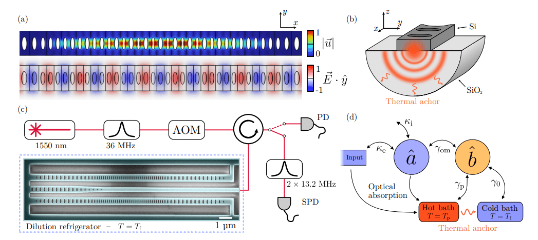Light-resilient Quantum Optomechanical Crystal Achieves 35 dB Higher Intracavity Energy and 18 dB Thermo-optic Suppression