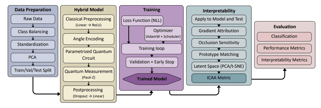 Iqnn-cs: Interpretable Quantum Neural Network Enables Multiclass Credit Risk Classification with Enhanced Transparency