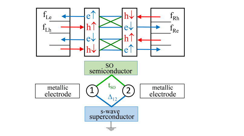 Spin-orbit Interaction and Andreev Reflection Yield Fully Spin-Polarized Quasiparticles in Proximized Quantum Dots