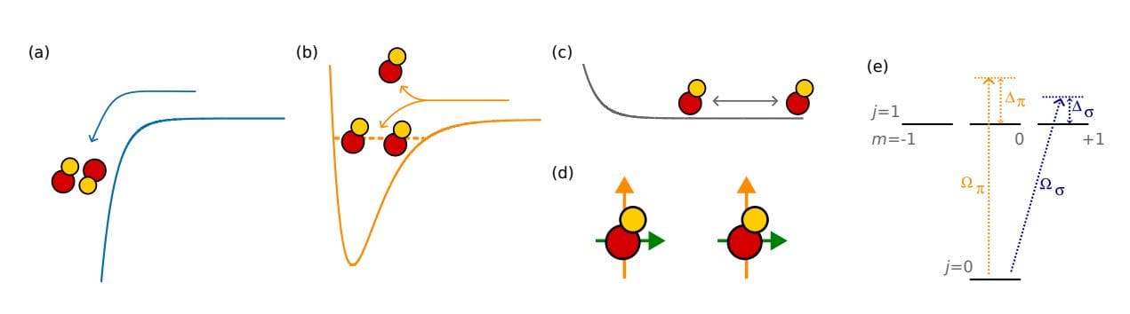 Strongly Dipolar Bose-Einstein Condensates Enable Exploration of Quantum Fluids and New Physics