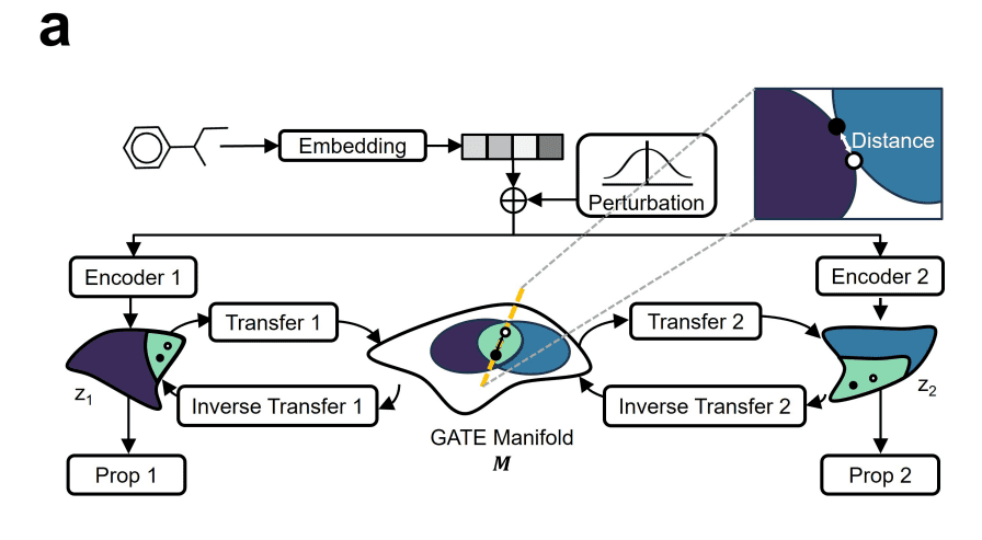 GATE Framework Enables Generalizable Materials Discovery by Jointly Learning 34 Physicochemical Properties