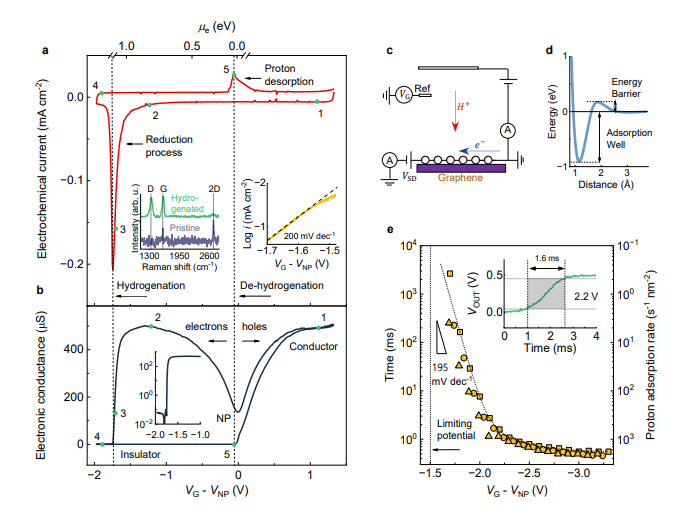 Electrochemical Hydrogenation of Graphene Achieves Reversible Transitions and Enhanced Rates Via Lattice Corrugations