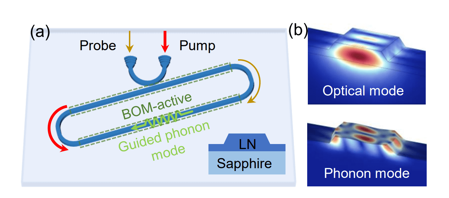 Suspension-free Chip Demonstrates 9.6-GHz Cavity Brillouin Optomechanics with High Cooperativity and Phonon Quality-Factor-Frequency Product