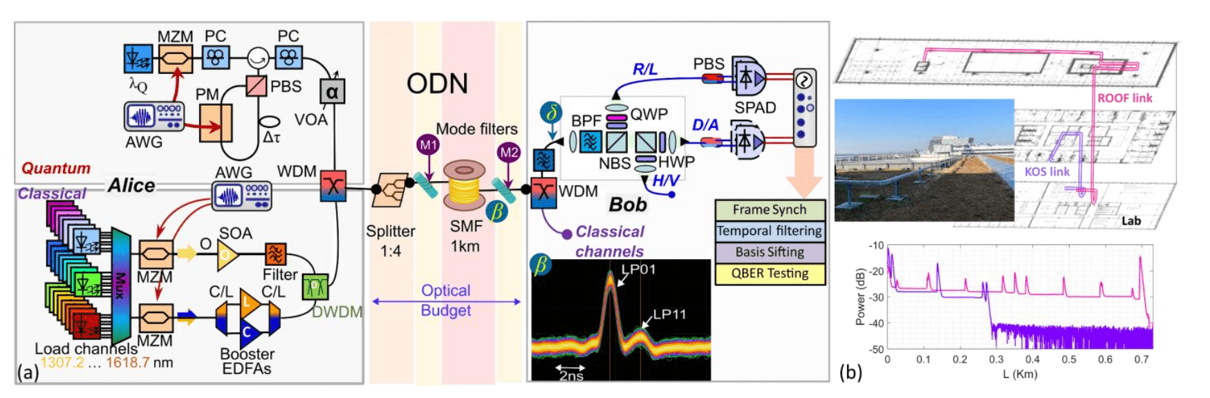 Shortwave-qkd Enables 12 Kb/s Secure Communication in Networks with 50 Co-existing Data Channels