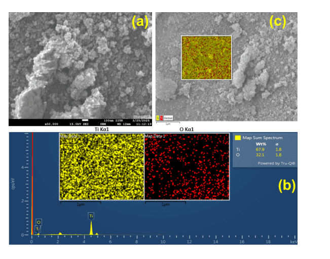 Oxygen-deficient TiO Nanoparticles Synthesized with Phyllanthus Niruri Exhibit Enhanced Magnetic Properties and 250nm Absorption