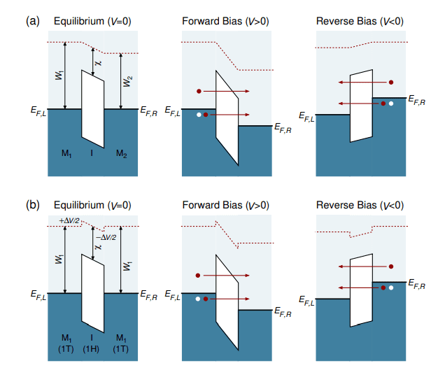 1t/1h/1t-mos Homojunctions Achieve MIM-Diode-Like Rectification Via Interfacial Dipole Engineering