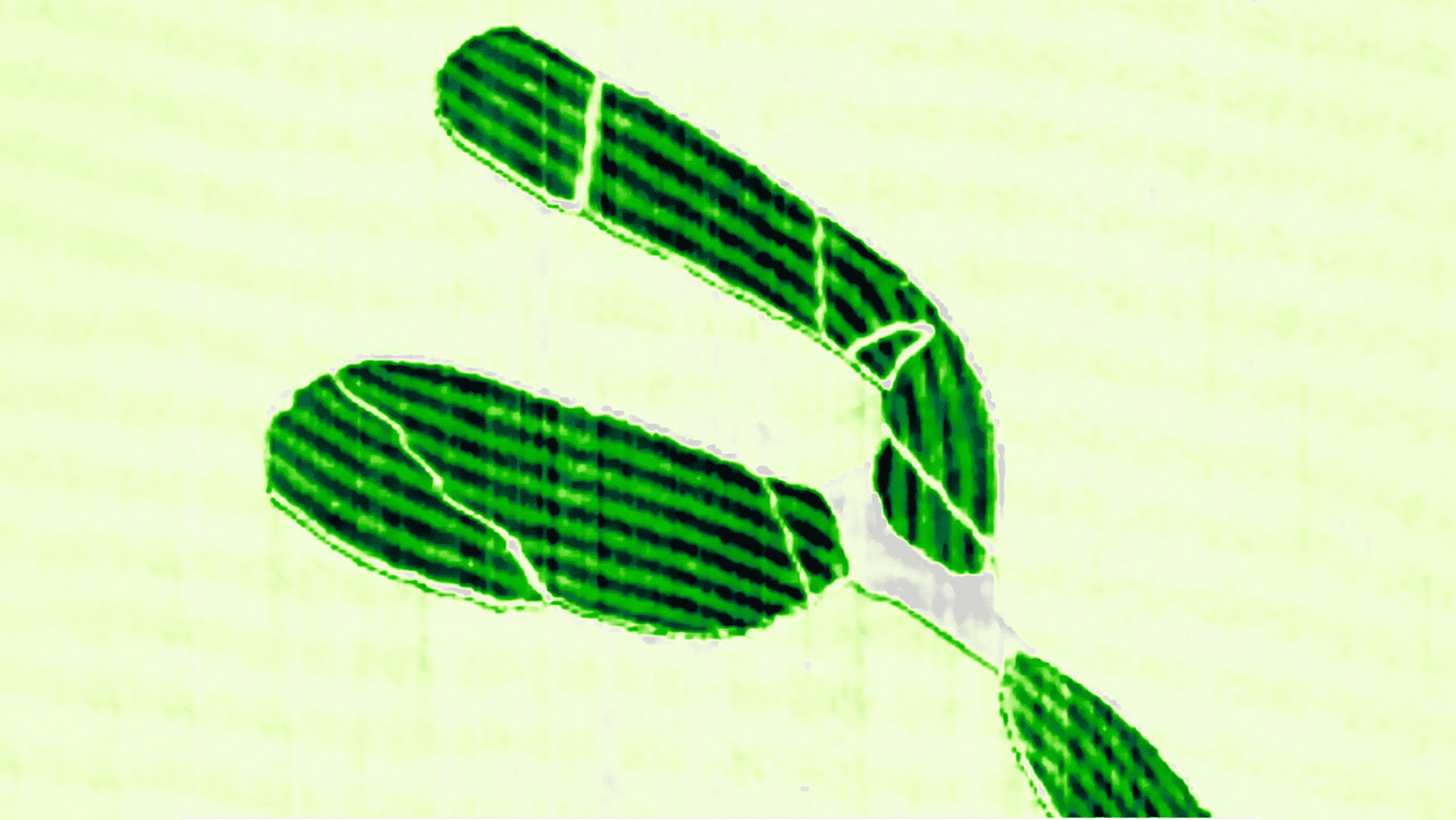 Graphene breakthrough enables quantum technology advancements suddenly