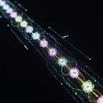 Quantum Computing’s ‘stepping Stone’ Method Bypasses Major Speed Barriers