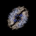 Molecular Simulations Reveal Hidden Details in Complex Biological Systems with New Method