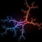 Sustained Innovation Enabled by the Ω Metric, Quantifying Open-Ended Evolution in Complex Systems