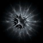 Symmetry Breaking Develops Faster Than Charge Diffusion