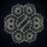 Researchers Discover Chiral Roton and Nematic Modes in Spin-1/2 CSL Phase