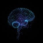 Leaf Enables Label-Efficient Image Quality Assessment with Minimal MOS Annotations