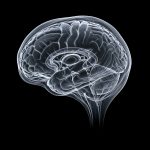 Fmri Data Analysis Enabled: SLIM-Brain Delivers 70% Efficiency Gains for Brain Studies