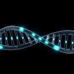 Robotic PCR Achieves High-Fidelity DNA Amplification for Data Storage Applications
