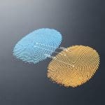 Fingerprint Matching