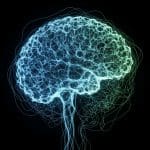 Bio-inspired MLOps Reduces AI Inference Energy Costs by 42% for Faster Results